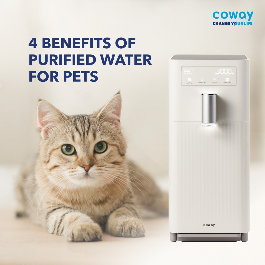 4 Benefits of Purified Water For Pets