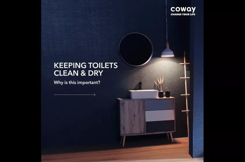 Keeping Toilets Clean & Dry. Why is This Important?